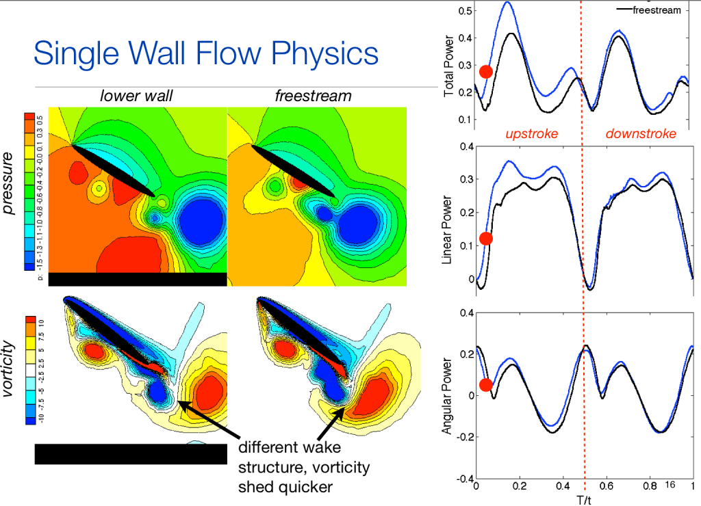 Simulation of an Oscillating Hydrofoil near&nbsp;Boundaries